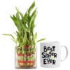 mug-with-plant