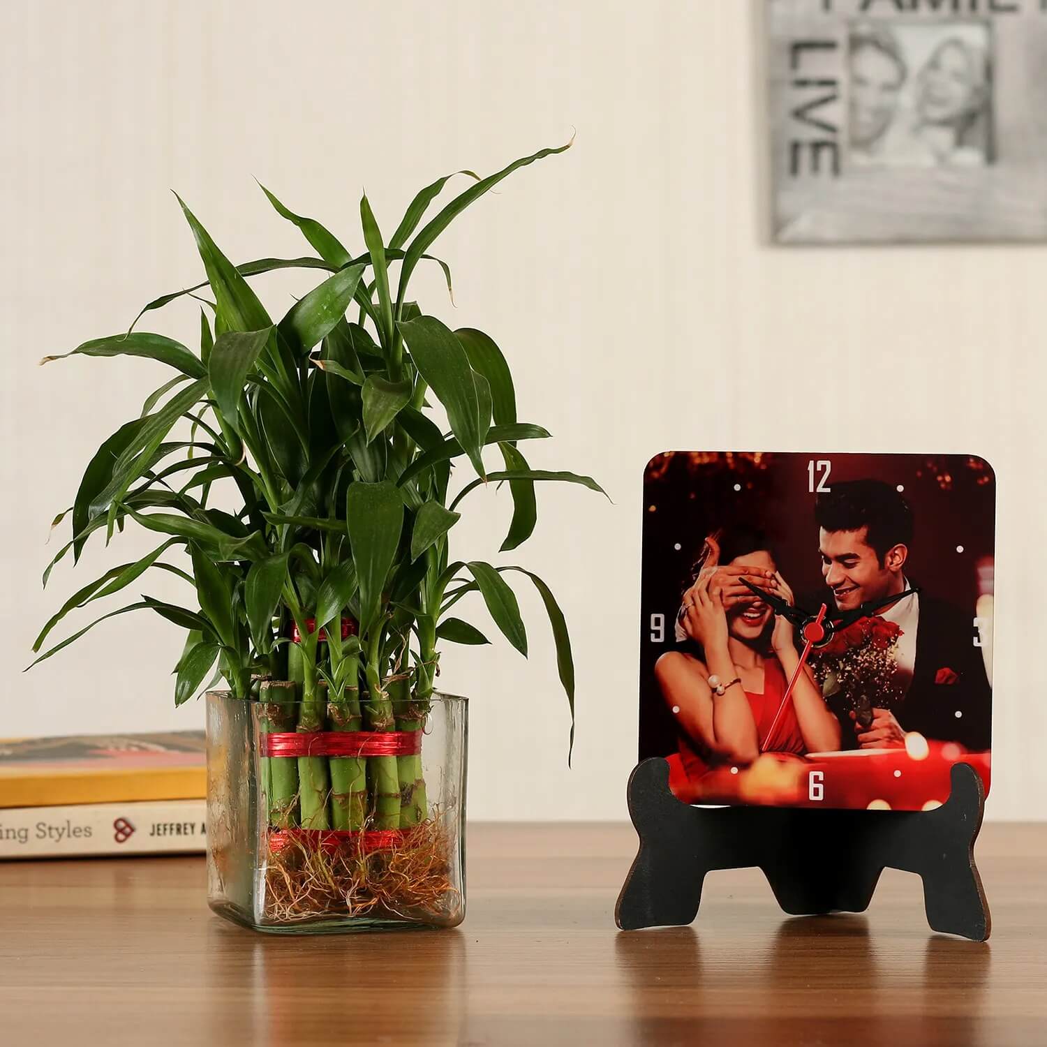 Send Smiling Bamboo Plant Online, Price Rs.445 | FlowerAura