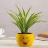 Spider Plant In Emoji Printed Pot