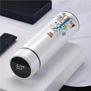 led temperature water bottle with your photo